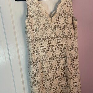Ann Taylor Ivory Lace Sleeveless Dress, Size 14 Petite